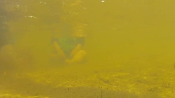 Bébé garçon jouer à la plage — Video