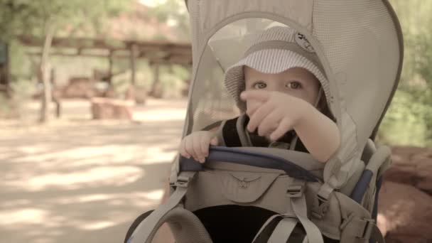 Bambino in zaino vettore al parco — Video Stock