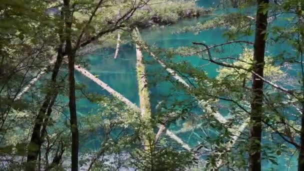 Lago en el valle del juizhaigou — Vídeo de stock