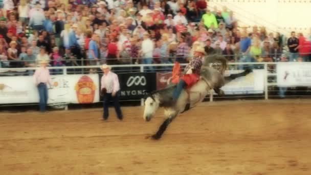 Naik tanpa pelana di rodeo — Stok Video