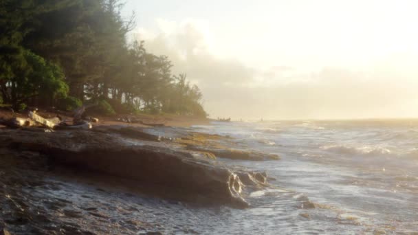 Beautiful Exotic Morning Beach — Stock Video