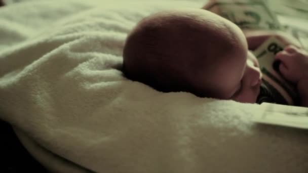 Yirmi dolar faturaları bebekle — Stok video