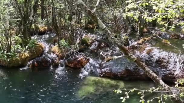 Bach im Jiuzhaigou-Tal — Stockvideo