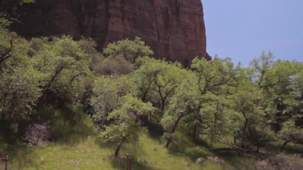 Klippen im Zion Nationalpark — Stockvideo