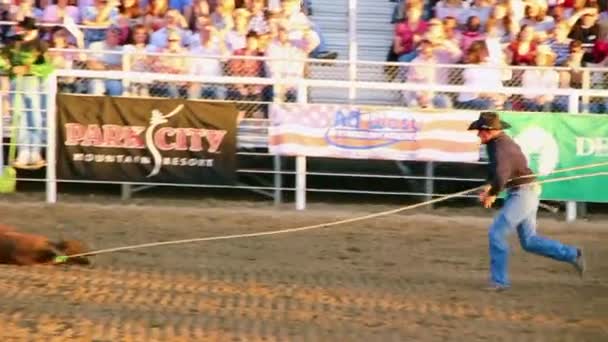 Grande rodeo show — Video Stock