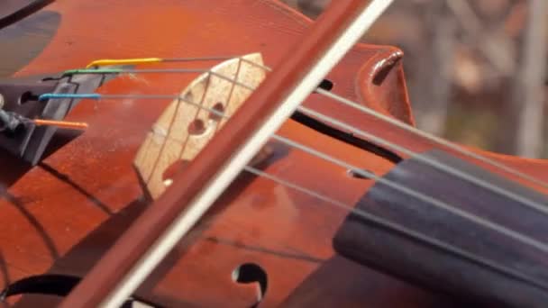 Man die viool speelt — Stockvideo
