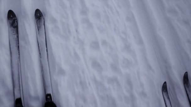 Катання на лижах — стокове відео