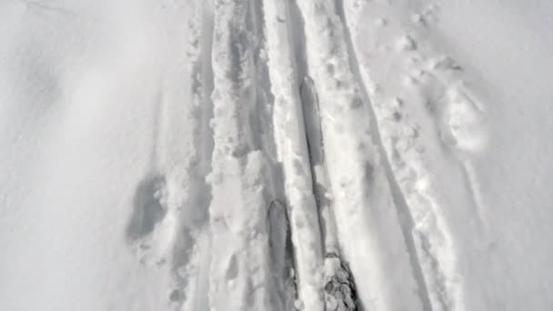 Man skidåkning i snötäckta berg — Stockvideo