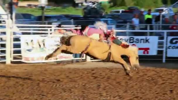 Cowboy riding bareback on a horse — Stock Video