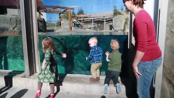동물원에 수족관에서 군중 — 비디오