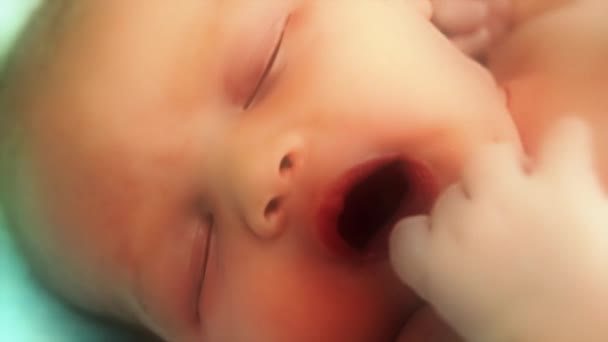 Um bebê recém-nascido no hospital — Vídeo de Stock