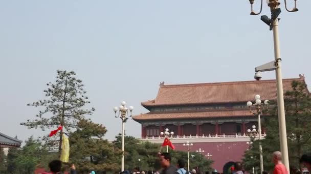 The Forbidden City Palace Courtyard — Stock Video