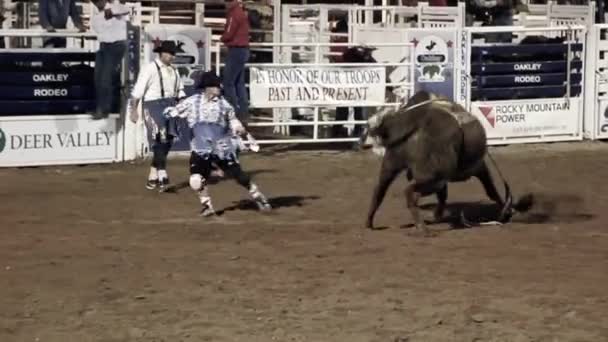 Büyük rodeo gösterisi — Stok video