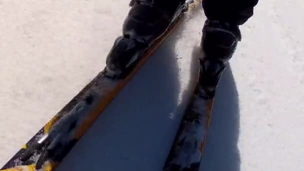 Man skiing in spring snow — Stock Video