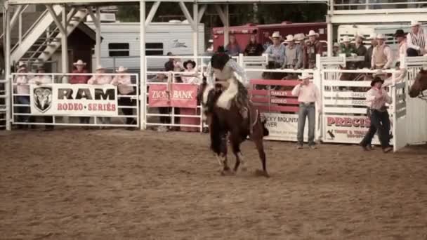 Cowboy reitet auf Pferd — Stockvideo