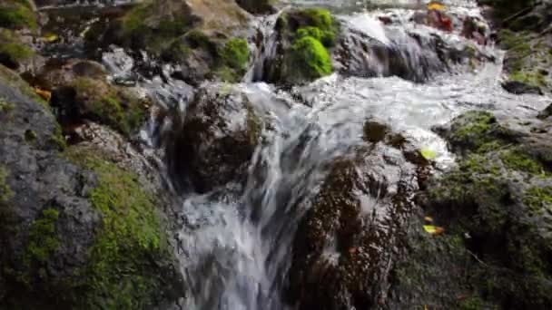 Fluxo de montanha limpo — Vídeo de Stock