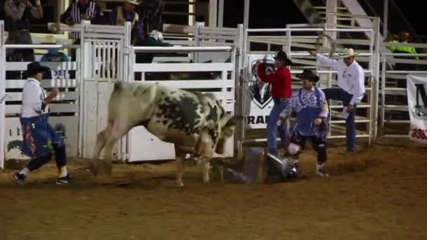 Big rodeo show — Stock Video