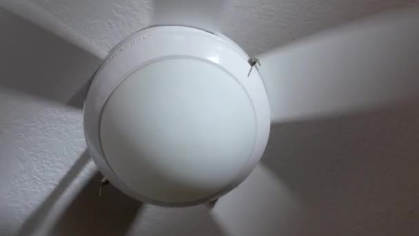 Ventilatore a soffitto rotante — Video Stock