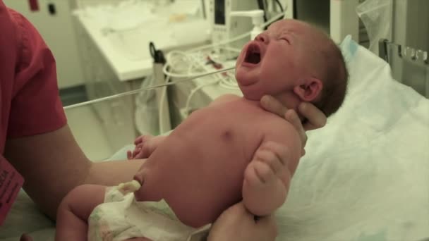 Newborn Baby at Hospital — Stock Video