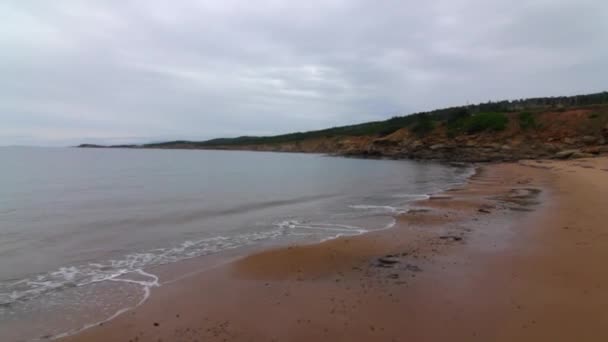 Praia calma do oceano — Vídeo de Stock