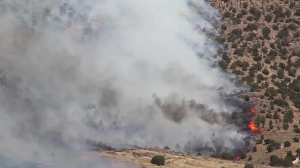 Яростный лесной пожар горит по всей горе — стоковое видео