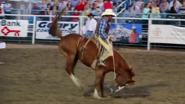 Eyer Bronc rodeoda ıkınma — Stok video