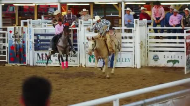 Rodeo-Show in der Arena — Stockvideo