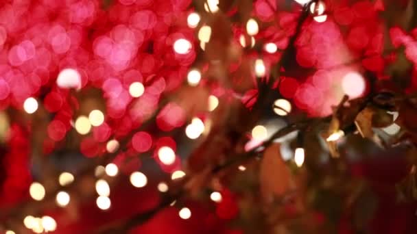 Vánoční světla na ulici — Stock video
