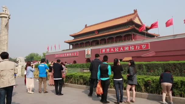 The Forbidden City Palace Courtyard — Stock Video