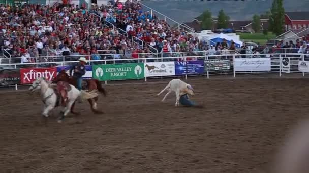 Kowboje Rope w rodeo — Wideo stockowe