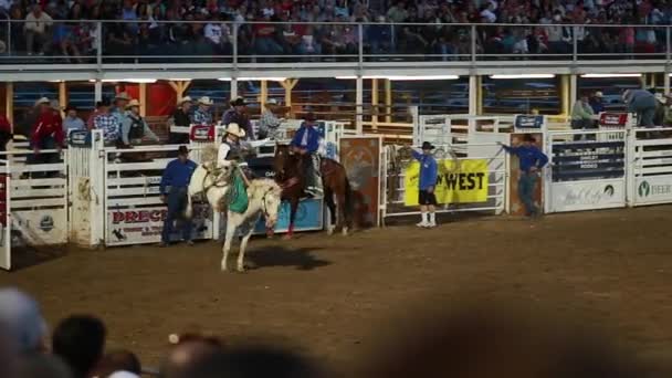Cowboy riding a crazy horse — Stock Video