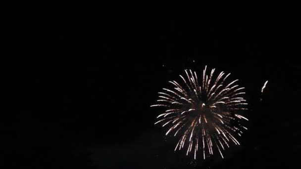 Un hermoso espectáculo de fuegos artificiales — Vídeo de stock