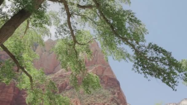 Kliffen op nationaal park Zion — Stockvideo