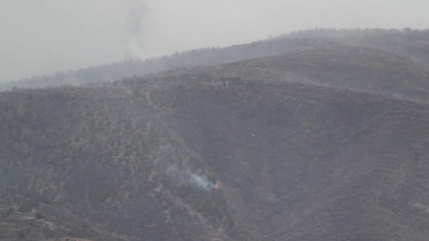 Un feu de forêt déchaîné brûle à travers la montagne — Video