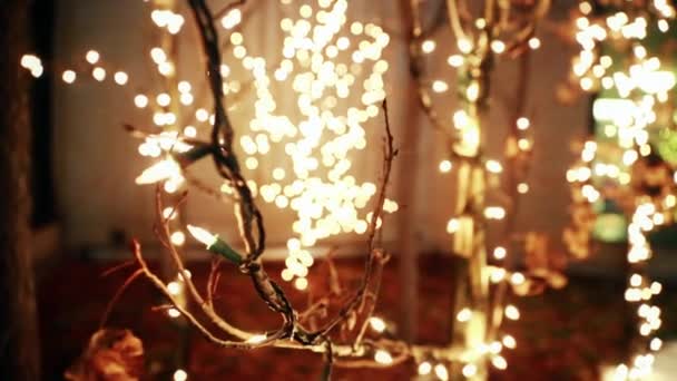 Lumières de Noël dans une rue — Video