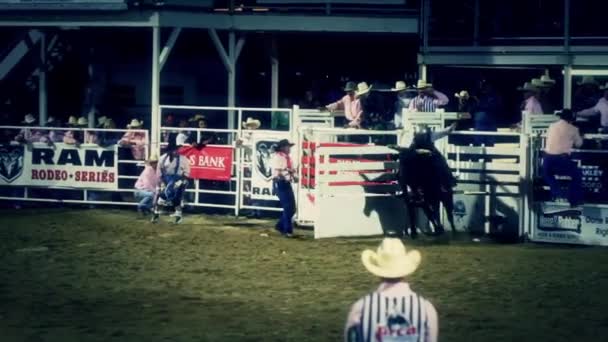Cowboy reitet auf einem Bullen — Stockvideo