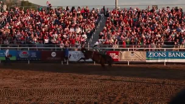 Rodeo-Show in der Arena — Stockvideo