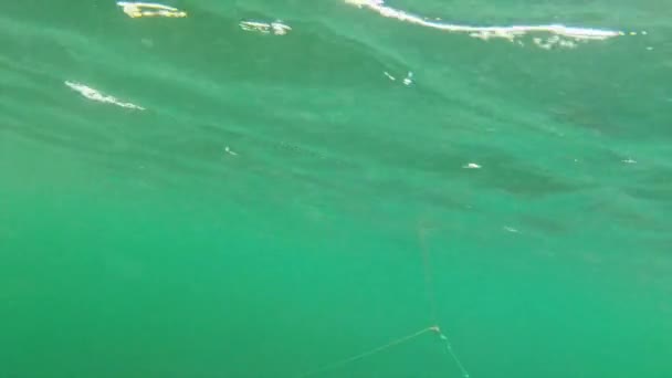 Trampa de langostas tirada del fondo del océano — Vídeo de stock