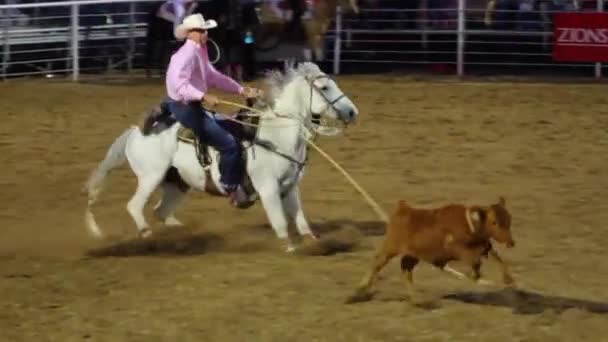 Cowboy Ropes un becerro en Rodeo — Vídeo de stock