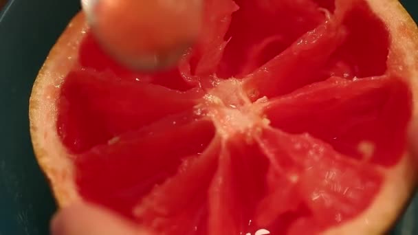 Eten een ruby red grapefruit — Stockvideo