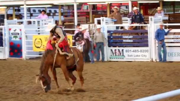 Cowboy Rides on horse Saddle Back — Stock Video