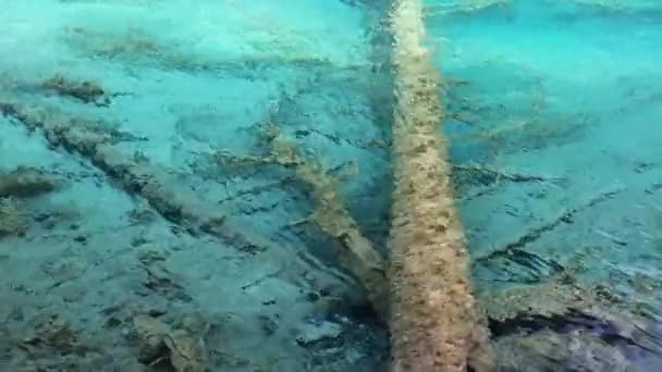 Agua azul clara en un lago — Vídeo de stock