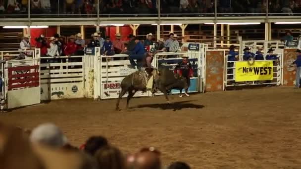 Grande rodeo show — Video Stock