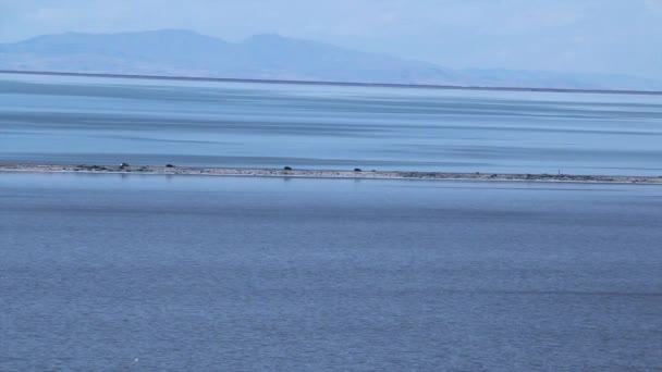 Αυτοκίνητα που διασχίζουν τη γέφυρα ξηράς — Αρχείο Βίντεο