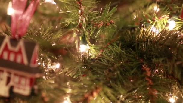 Albero di Natale decorato — Video Stock