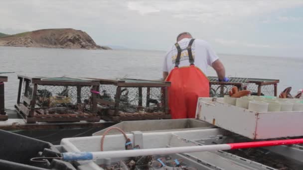 Рыбак выбрасывает ловушки — стоковое видео