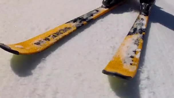 Человек катается на лыжах весной снег — стоковое видео