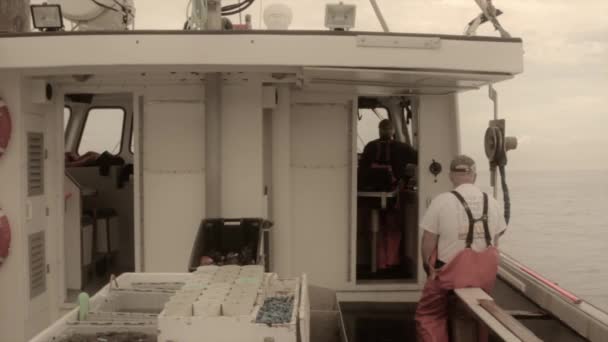 Pescadores comerciales de langosta — Vídeos de Stock