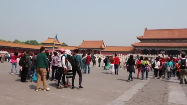 The Forbidden City Palace Courtyard — Stock Video