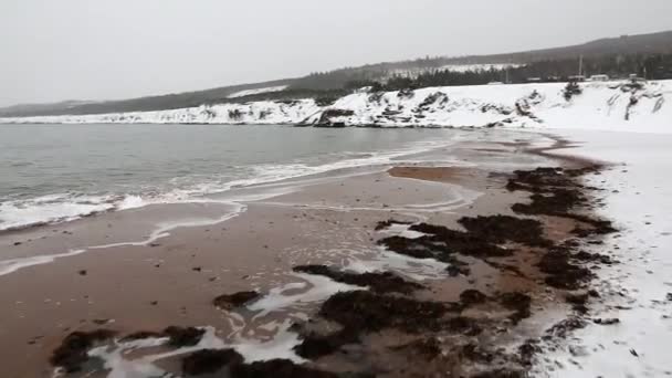 Sandy beach covered in snow — Stock Video